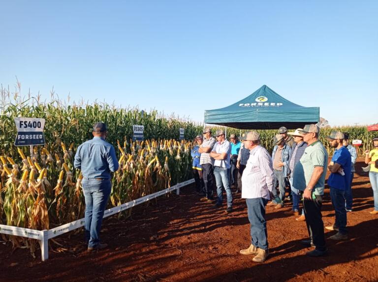 Copagril realiza 3º Dia de Campo Milho Safrinha 2023