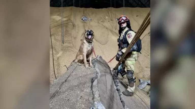 Vítima em silo de Palotina continua desaparecida; buscas não param