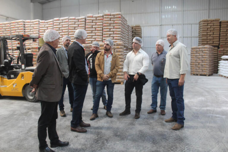 Estado e setor privado discutem ações para impulsionar a produção de mandioca