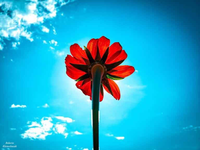 A escolha é sempre sua