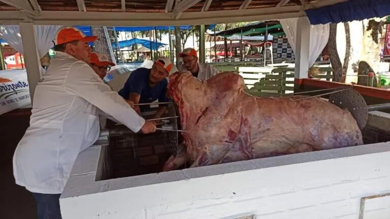 Bois chegam ao Parque de Exposições para Festa Nacional do Boi no Rolete