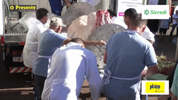 46 bois serão assados para a Festa Nacional do Boi no Rolete