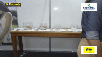 Casa Espírita leva à Expo Rondon movimento “Sim à vida”