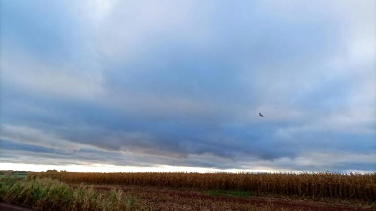 Marechal Rondon amanhece com sensação térmica de 7ºC nesta sexta-feira