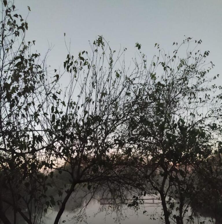 Frio perde força, mas chuva é esperada: confira a previsão para próximos quinze dias em Marechal Rondon