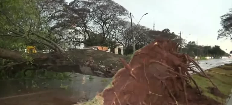 Temporal causa estragos no Oeste e Sudoeste do Paraná; 60 mil imóveis estão sem energia