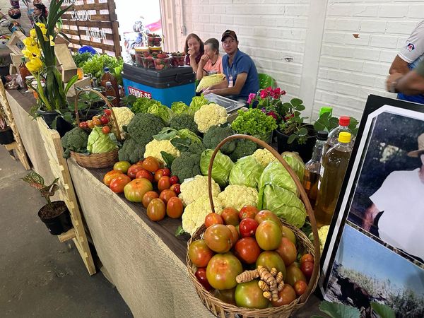 Expo Rondon também conta com Feira Agroecológica