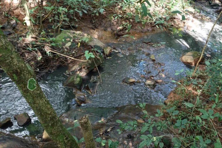 IAT intensifica fiscalização contra despejo de dejeto de animais em rios no Oeste após mais de 50 denúncias