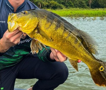 Restam menos de 40 inscrições para a pesca esportiva ao tucunaré de Marechal Rondon