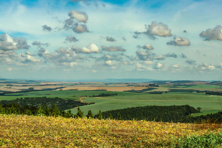 Boletim do IDR-Paraná analisa chuvas baixas de junho e o reflexo na produção agrícola