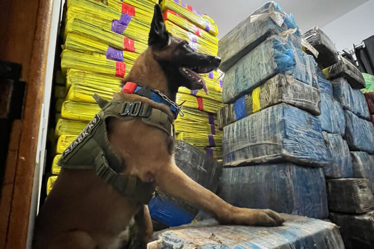 Quatro toneladas de droga são apreendidas em Pato Bragado