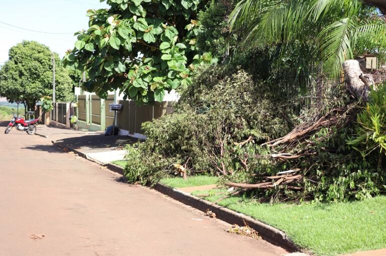 Moradores do setor três devem depositar galhos e entulhos em frente às residências até 4 de maio