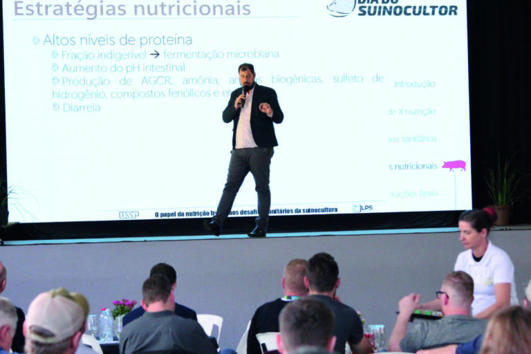 Nutrição adaptada às condições em que os suínos são expostos otimizam estado imunológico