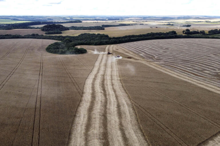 34 cidades do Paraná têm Valor Bruto de Produção Agropecuária acima de R$ 1 bilhão; veja quais são