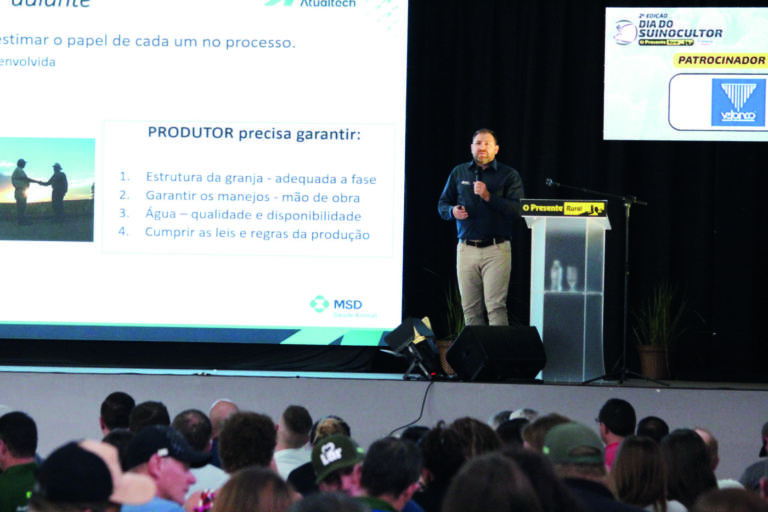 Sistema de produção contínua aumenta risco de contaminação entre suínos, aponta médico veterinário