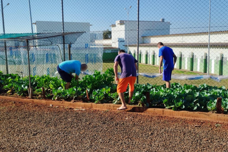 Projeto Semear, da Polícia Penal, fornece produtos orgânicos a escola de Foz do Iguaçu