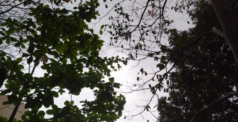 Previsão do tempo indica chuva e máxima de 23°C para Marechal Rondon neste sábado