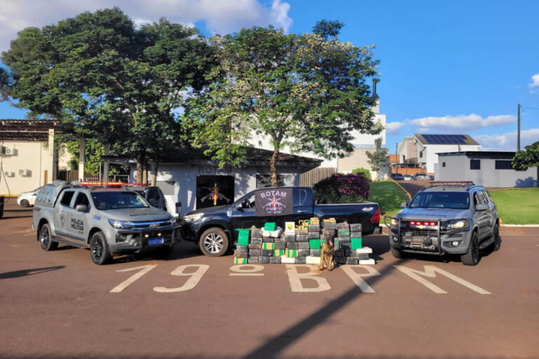 Polícia Militar apreende 850 quilos de maconha em área rural de Toledo