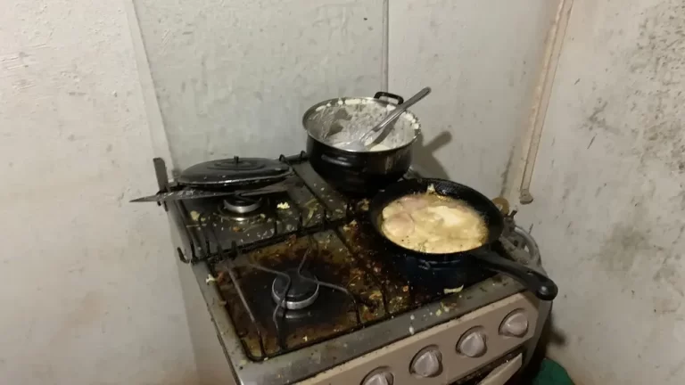 Sete trabalhadores paraguaios são resgatados de trabalho escravo no Noroeste do Paraná