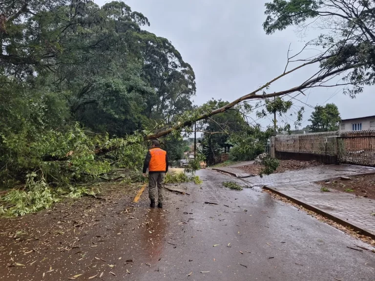 Temporal no Paraná provoca curto-circuito em postes, destelhamentos e deixa 240 mil domicílios sem energia
