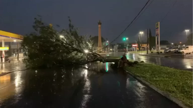 Ventos de 60 Km/h atingem a região Oeste na madrugada, informa Simepar