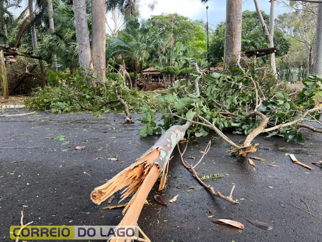 Transformador caído, rede elétrica no chão e árvores quebradas: o balanço do temporal em Santa Helena