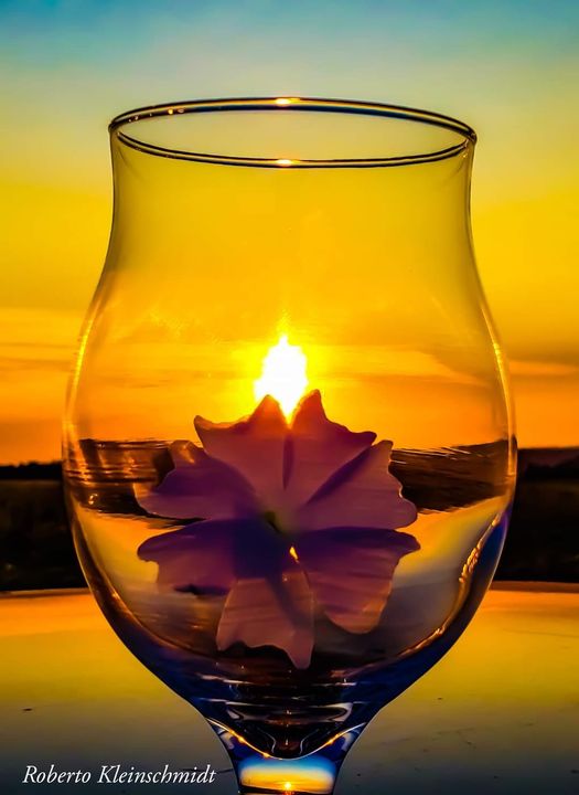 A vida vai muito além…