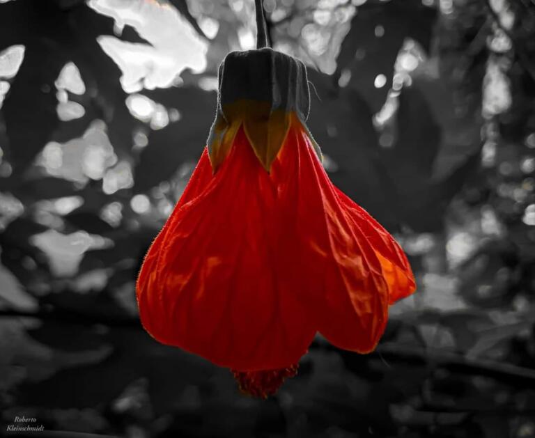 Diferença e mudança