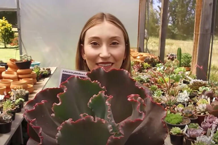 Prêmio Orgulho da Terra valoriza presença feminina no campo