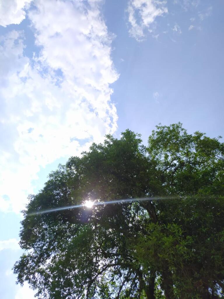 Dias de calor intenso antecedem semana de chuva em Marechal Rondon; confira a previsão