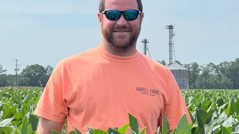 Produtor de soja alcança 231,8 sacas por hectare e supera recorde mundial