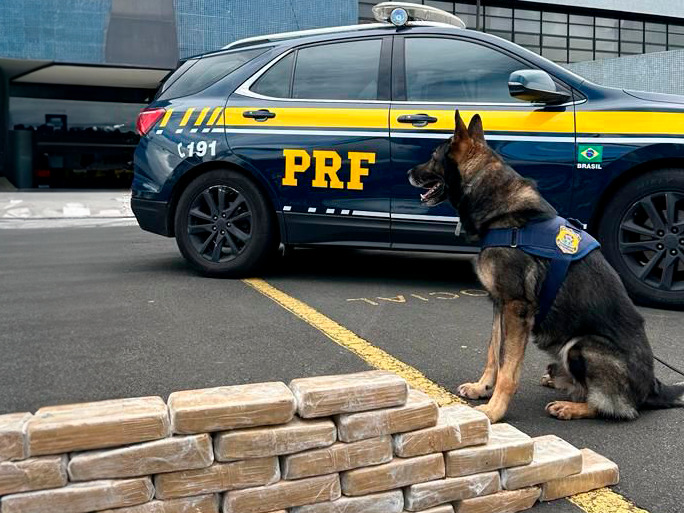 Em oito meses e meio, PRF já apreendeu mais drogas do que em todo 2022 no Paraná