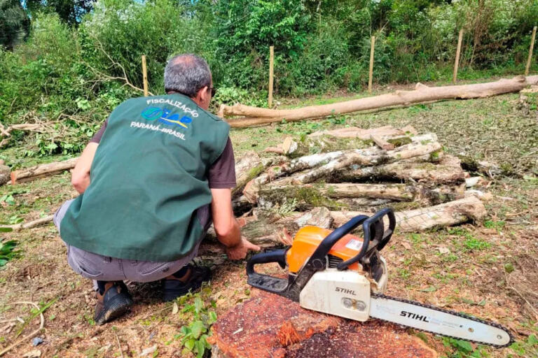 Operação “Mata Atlântica em pé” flagra crimes ambientais no Paraná