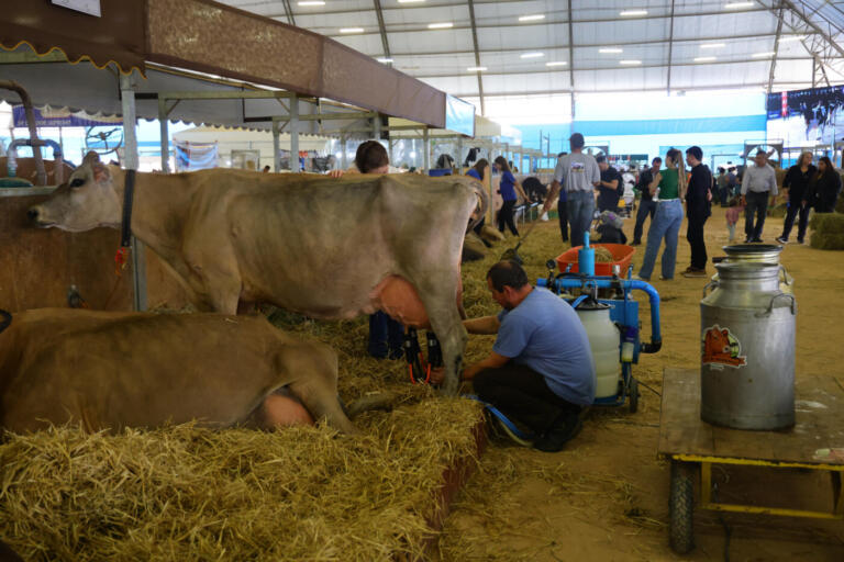 Paraná tem nove cidades na liderança da produção agropecuária nacional; Oeste está na lista