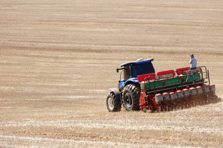 Após apelo do Estado e setor produtivo, Mapa altera calendário de semeadura de soja