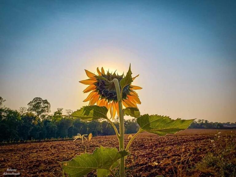 O tempo mostra o destino