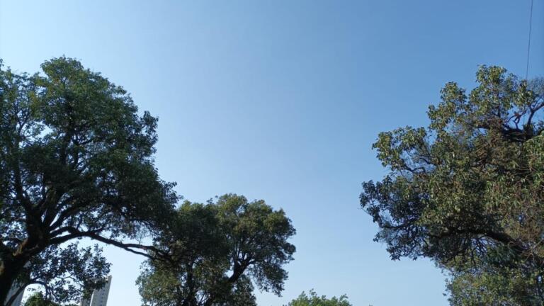 Semana será de muito calor, mas Simepar prevê pancadas de chuvas