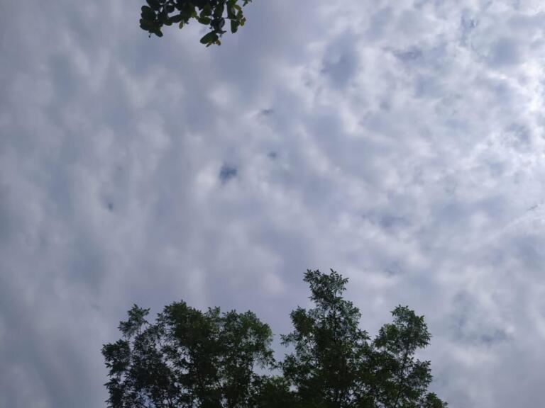 Semana de feriados será marcada pela chuva em Marechal Rondon; confira a previsão