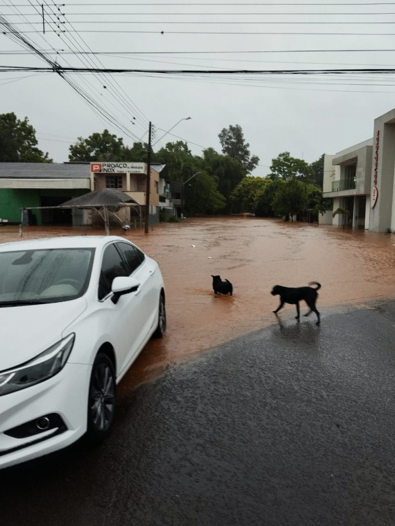 Dez cidades do Paraná registram mais de 100 mm de chuva no sábado; Estado está sob alerta de tempestades