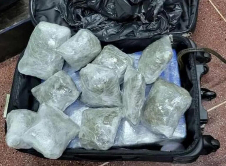 Polícia Federal deflagra operação contra tráfico de drogas após cães farejadores encontrarem maconha em mala