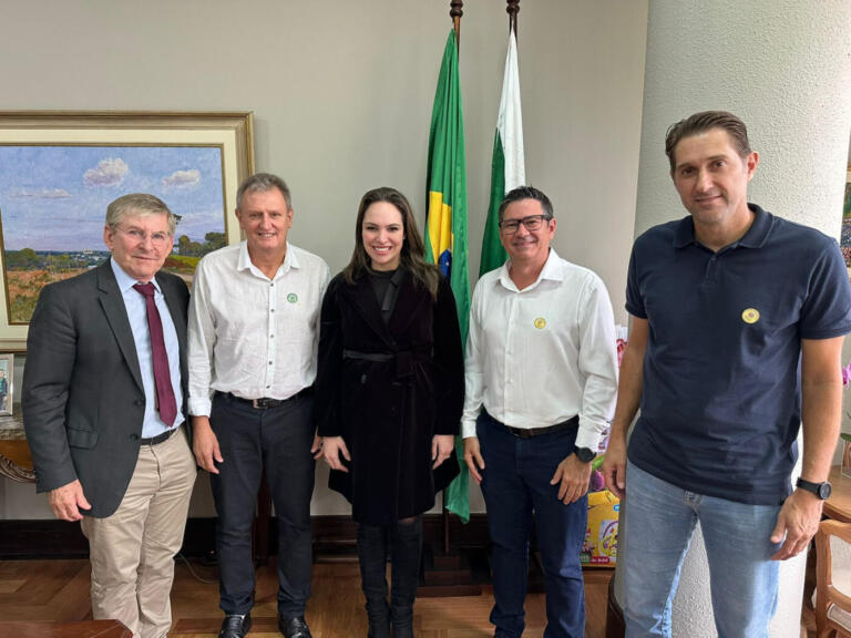 Autoridades rondonenses se reúnem com a presidente estadual do Progressistas