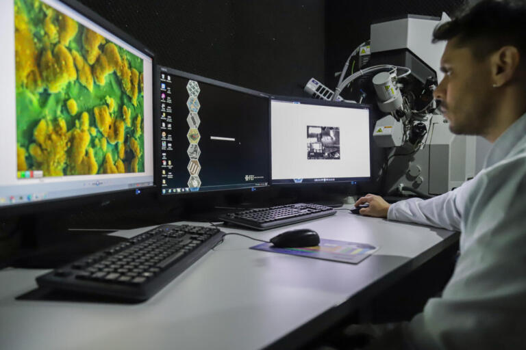 Pesquisadores de universidades estaduais estão entre os mais influentes do mundo