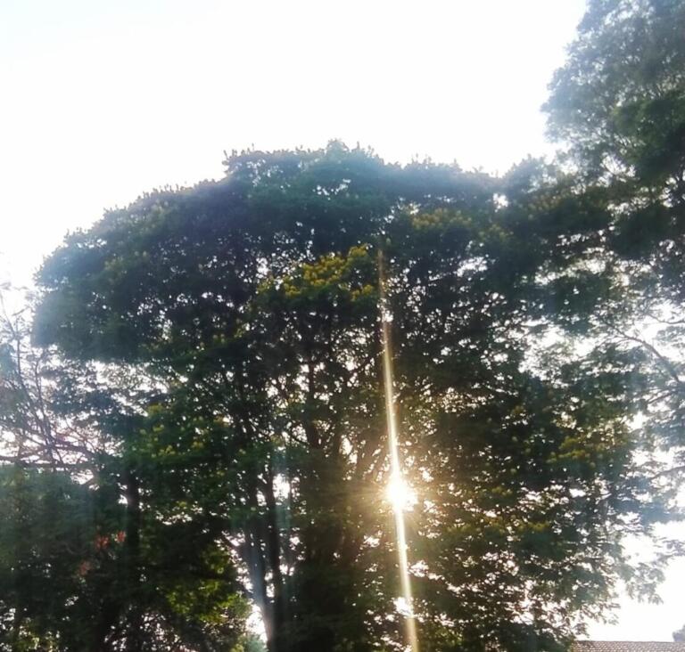 Calor, chuva, temporal? Confira a previsão do tempo para Marechal Rondon e região