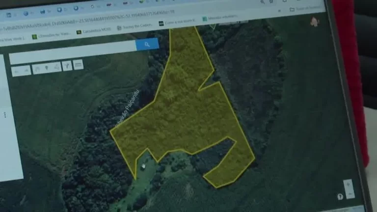 Agricultores do Paraná com áreas de preservação podem receber até R$ 280 por hectare; entenda iniciativa