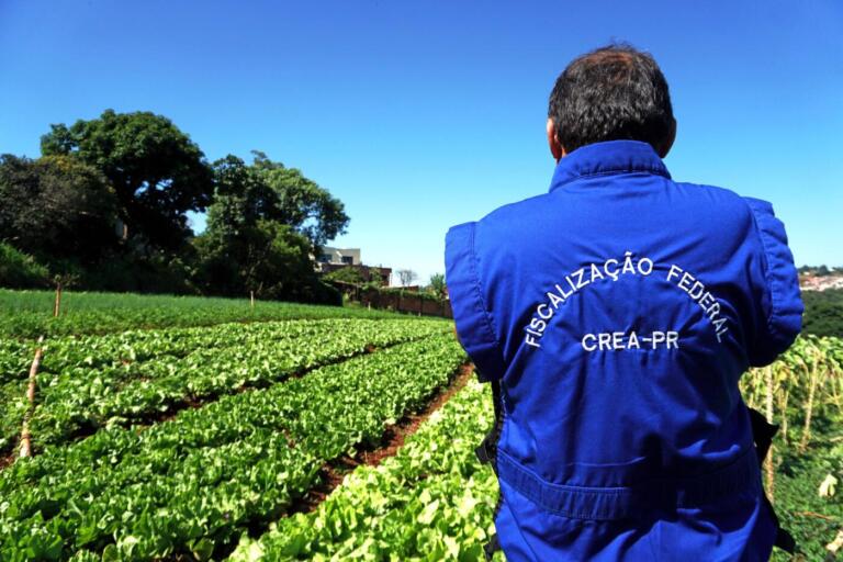 Crea-PR inicia fiscalização da Safra Verão 2023/2024