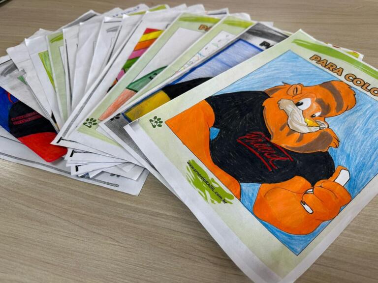 Aberta votação para escolha da melhor pintura dos alunos participantes do Proerd; veja como votar