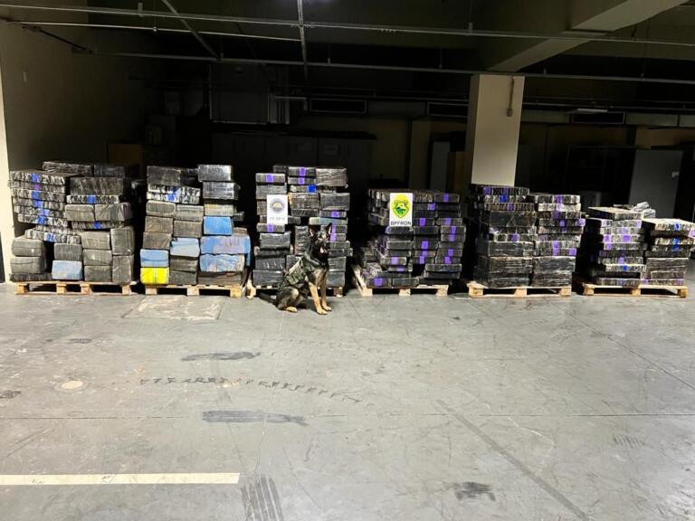 Forças policiais apreendem mais de 5 toneladas de drogas em Pato Bragado