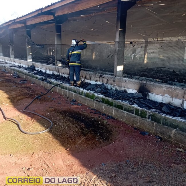 Aves morrem carbonizadas durante incêndio em aviário no interior de Santa Helena
