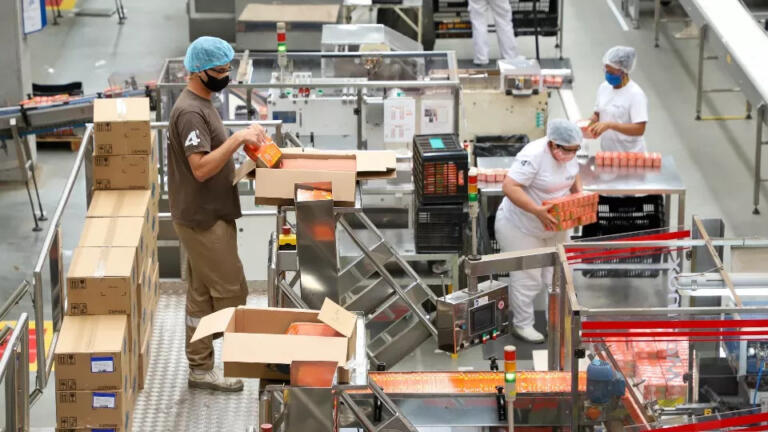 Taxa de desemprego segue em queda e chega a 4,6% no Paraná, 5ª menor do País