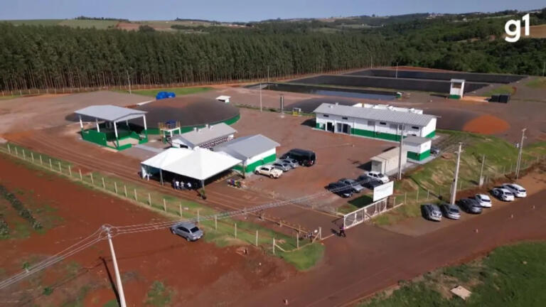 Estrume de porco vira energia elétrica na cidade que mais produz carne suína no Brasil